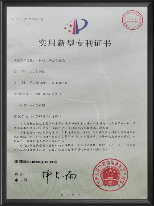 实用新型专利